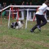 foire-haricots 2011-09-17et18